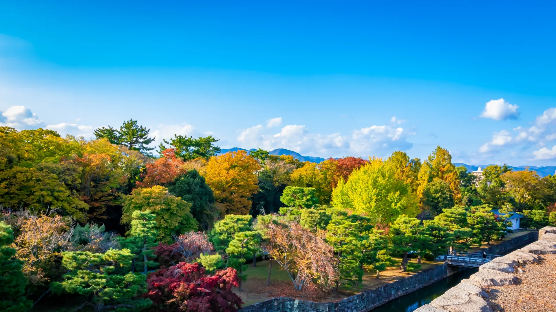 アゴーラプレイス 京都二条